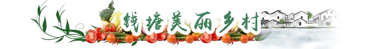 美丽乡村大比武英雄榜之——实施乡村振兴，筑梦
