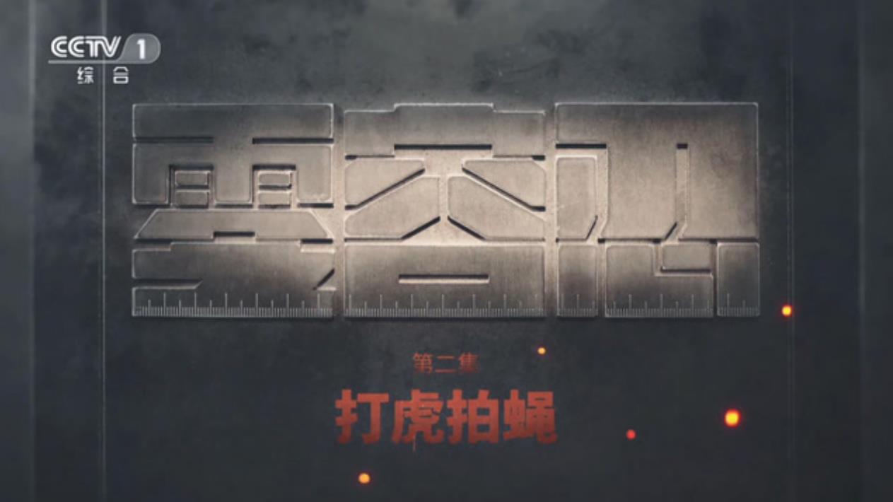 电视专题片《零容忍》第二集《打虎拍蝇》
